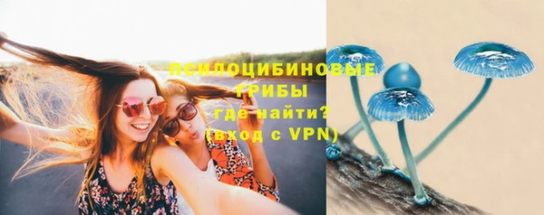 амф Белокуриха