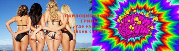 амф Белокуриха