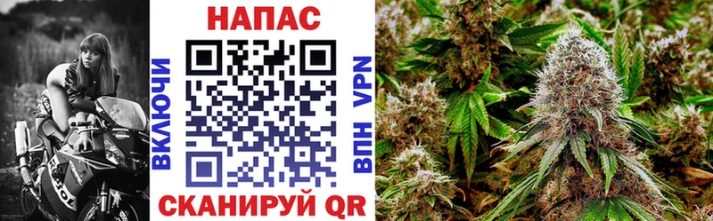 Канабис план  Купить закладки  Енисейск 